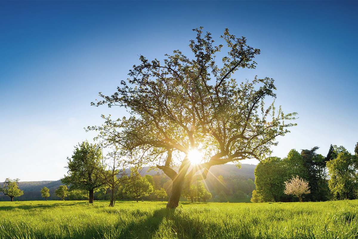  html    head  title 500 Internal Server Error  title   head    body    center  h1 500 Internal Server Error  h1   center    hr  center nginx 1.29.3  center     body     html 