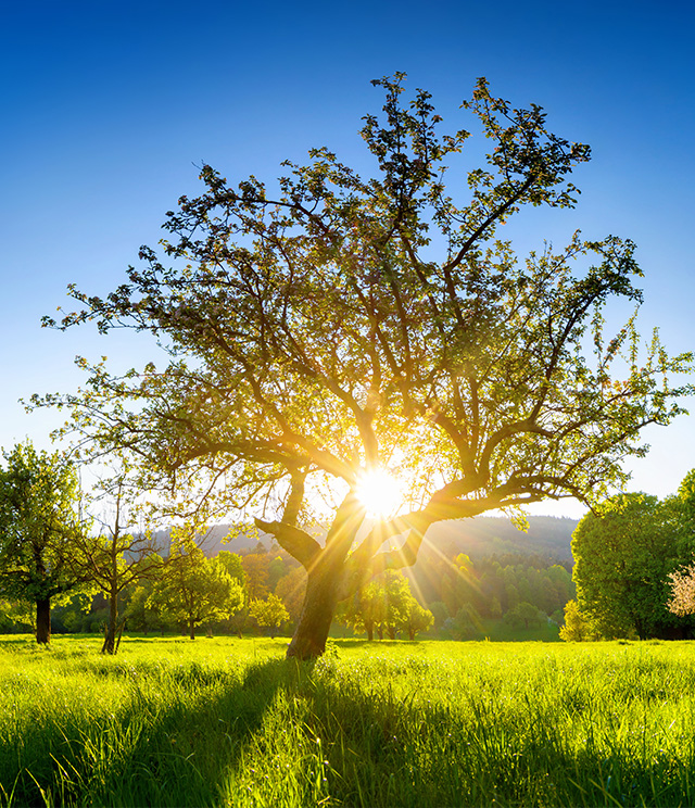  html    head  title 500 Internal Server Error  title   head    body    center  h1 500 Internal Server Error  h1   center    hr  center nginx 1.29.3  center     body     html 